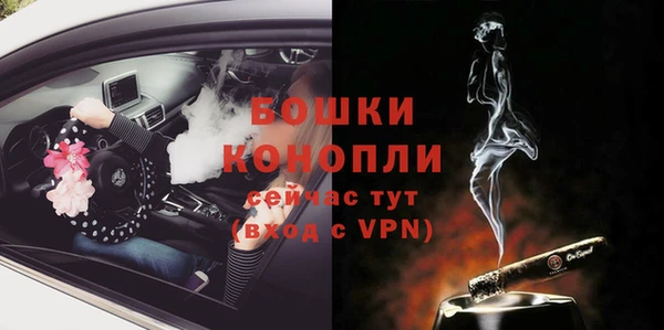 гашик Богданович