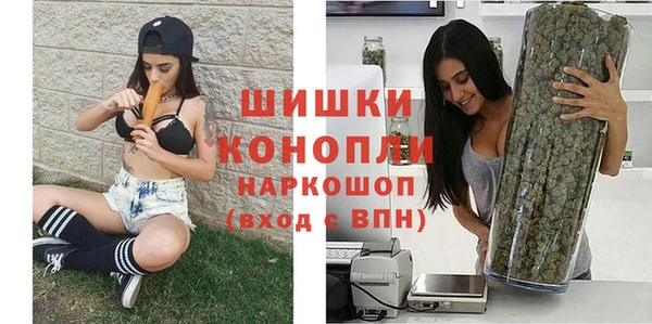 гашик Богданович