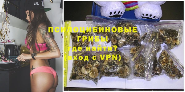 гашик Богданович