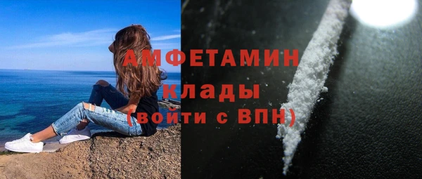 гашик Богданович